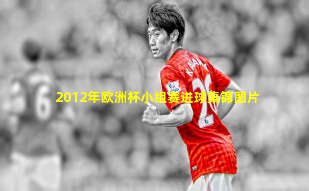2012年欧洲杯小组赛进球集锦图片