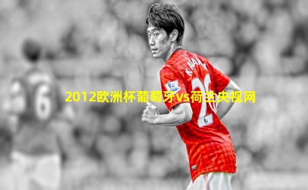 2012欧洲杯葡萄牙vs荷兰央视网