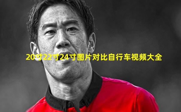 20寸22寸24寸图片对比自行车视频大全