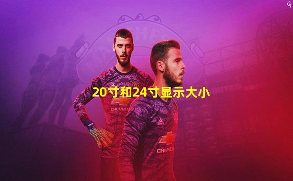 20寸和24寸显示大小