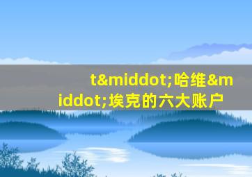 t·哈维·埃克的六大账户