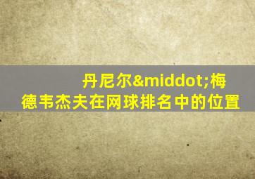 丹尼尔·梅德韦杰夫在网球排名中的位置