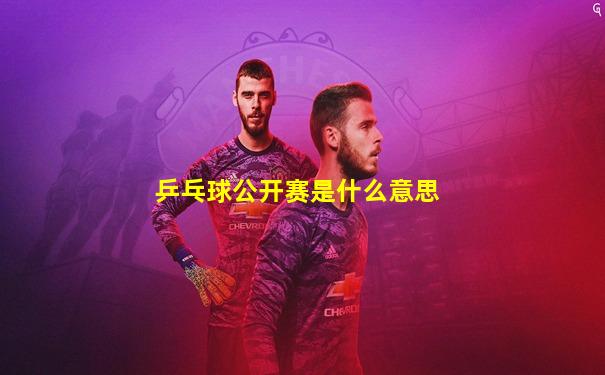 乒乓球公开赛是什么意思