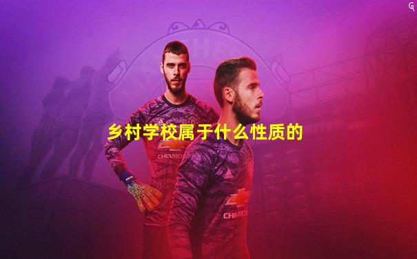 乡村学校属于什么性质的