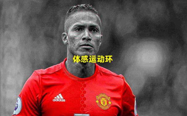 体感运动环