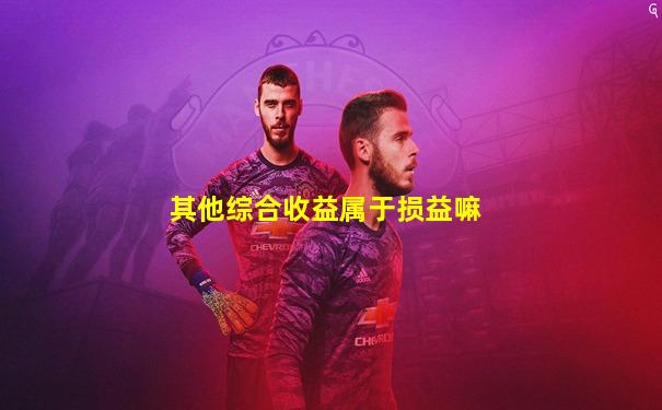 其他综合收益属于损益嘛