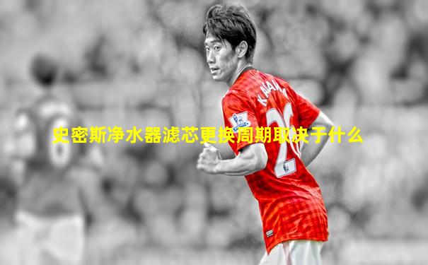 史密斯净水器滤芯更换周期取决于什么