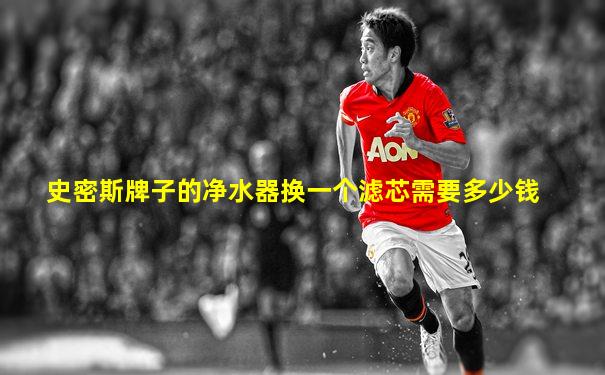 史密斯牌子的净水器换一个滤芯需要多少钱