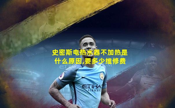 史密斯电热水器不加热是什么原因,要多少维修费