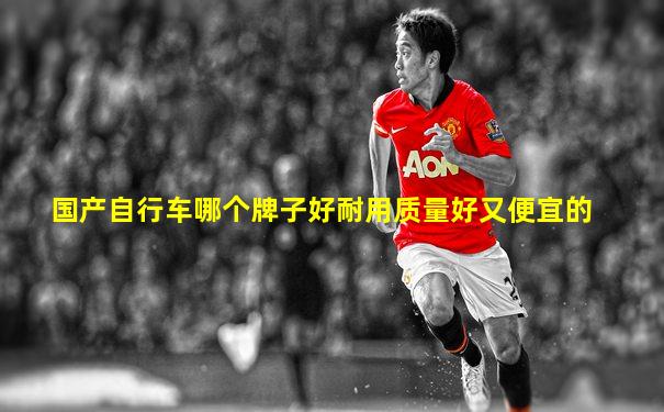 国产自行车哪个牌子好耐用质量好又便宜的
