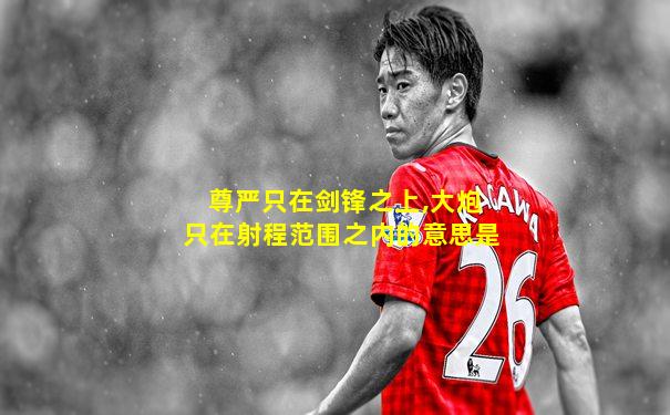 尊严只在剑锋之上,大炮只在射程范围之内的意思是