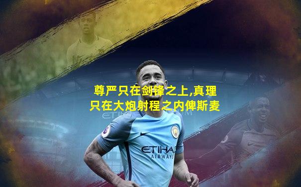 尊严只在剑锋之上,真理只在大炮射程之内俾斯麦