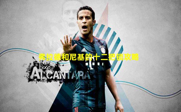 弗拉德和尼基的十二把锁攻略