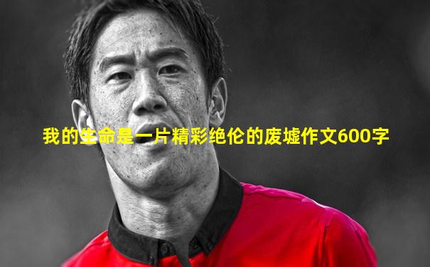 我的生命是一片精彩绝伦的废墟作文600字