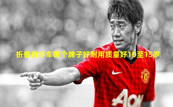 折叠自行车哪个牌子好耐用质量好10至15岁