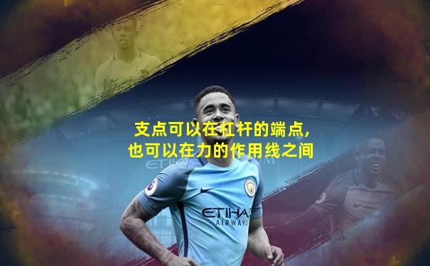 支点可以在杠杆的端点,也可以在力的作用线之间