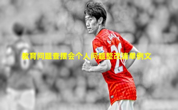 教育问题查摆会个人问题整改清单例文