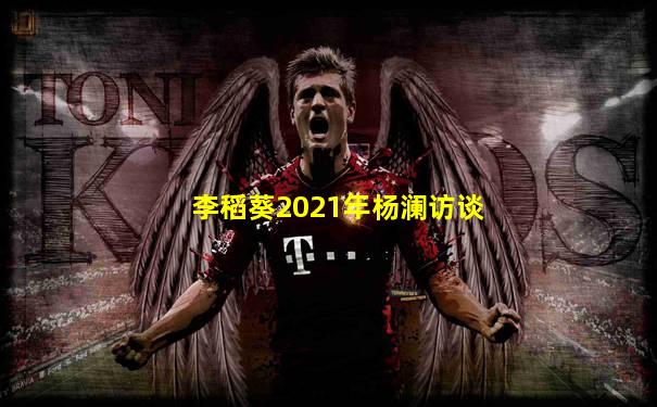 李稻葵2021年杨澜访谈