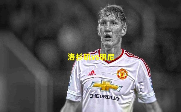 洛杉矶vs明尼