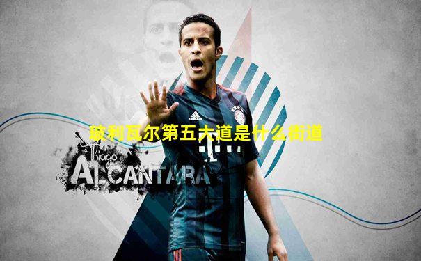 玻利瓦尔第五大道是什么街道