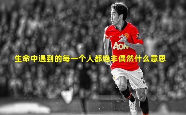 生命中遇到的每一个人都绝非偶然什么意思