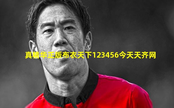 真精华正版布衣天下123456今天天齐网