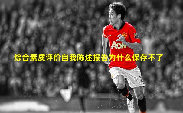 综合素质评价自我陈述报告为什么保存不了