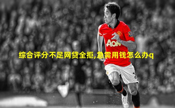 综合评分不足网贷全拒,急需用钱怎么办q