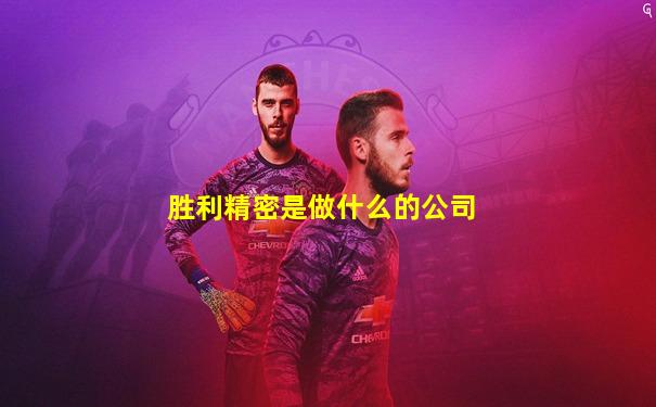胜利精密是做什么的公司