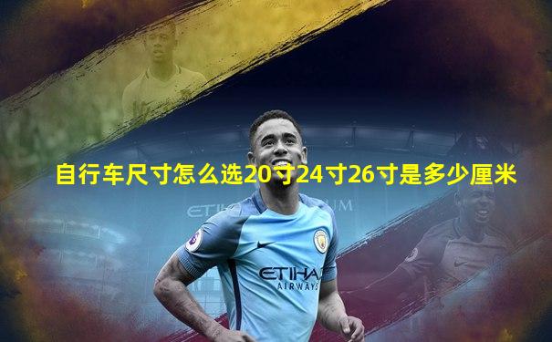 自行车尺寸怎么选20寸24寸26寸是多少厘米