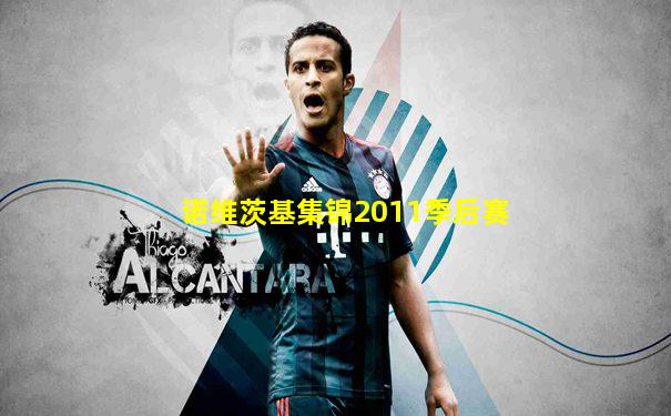 诺维茨基集锦2011季后赛