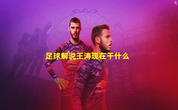 足球解说王涛现在干什么