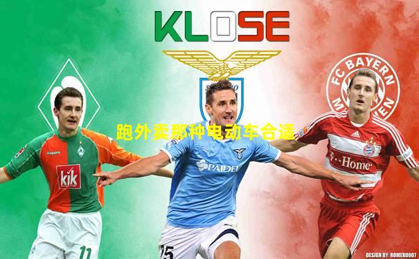 跑外卖那种电动车合适
