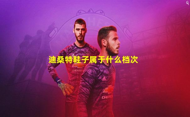 迪桑特鞋子属于什么档次