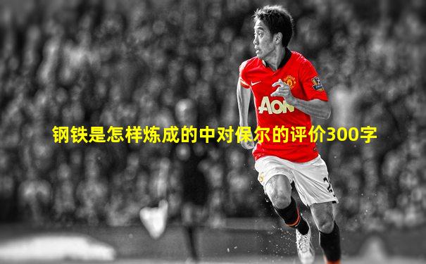 钢铁是怎样炼成的中对保尔的评价300字