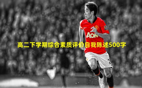 高二下学期综合素质评价自我陈述500字