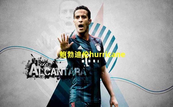 鲍勃迪伦hurricane