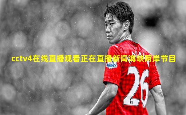 cctv4在线直播观看正在直播新闻海峡两岸节目