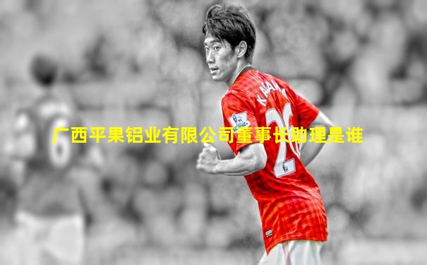 广西平果铝业有限公司董事长助理是谁