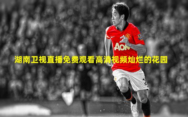 湖南卫视直播免费观看高清视频灿烂的花园