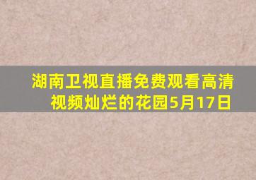 湖南卫视直播免费观看高清视频灿烂的花园5月17日